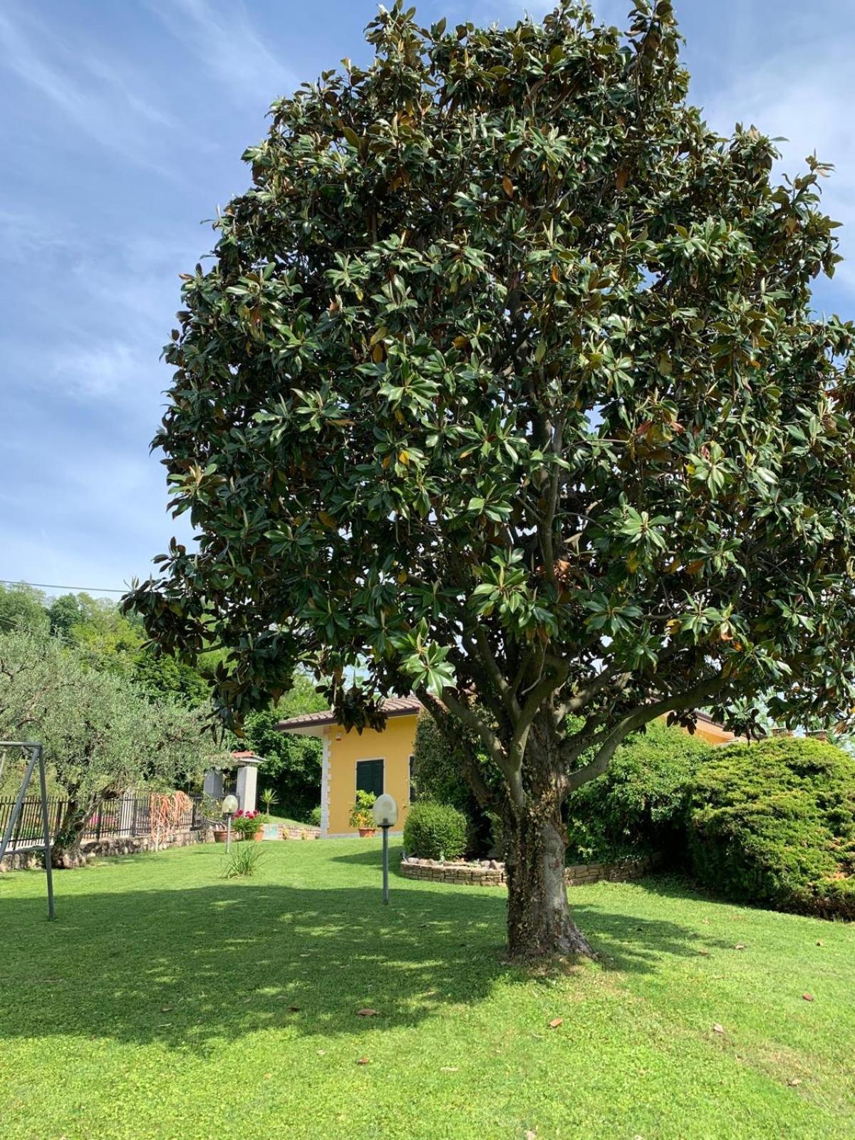 Poli Villa'S Apartment Bardolino Exterior foto